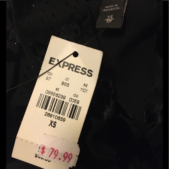 Express Chic Silhouette Velvet Floral Design Tie Neck and Sheer Balloon Sleeves - Picture 6 of 6